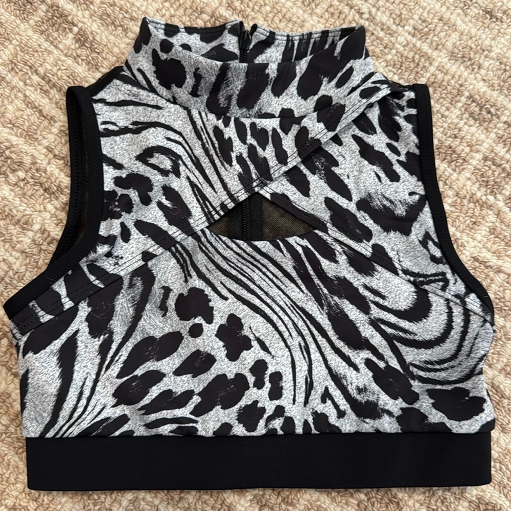 Danz in Motion crop top